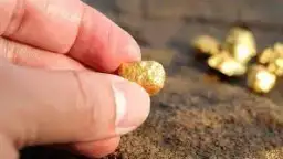 شلاتين للثروة المعدنية" تُسلم "المركزي"...