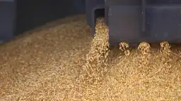 4 شركات تفوز بتوريد 290...