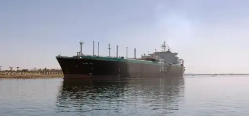 مصر تشتري شحنة فورية جديدة...