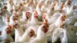 رئيس الوزراء يستعرض تقريرًا بشأن...