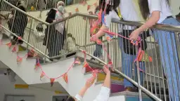 شاهد موظفو البنك الاهلى الكويتى-مصر ...