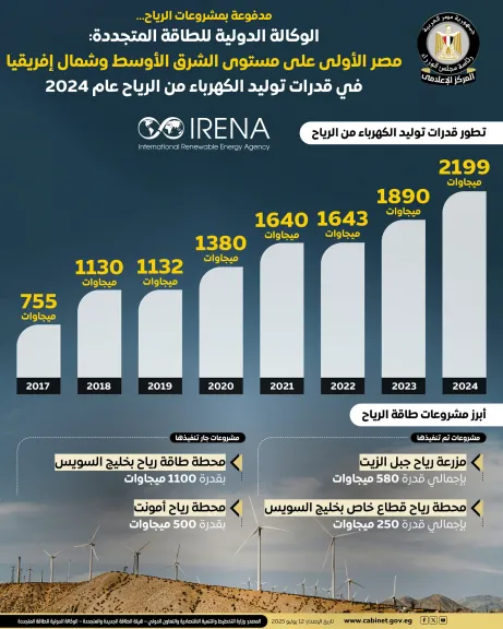 التحول في قطاع الطاقة المتجددة فى مصر