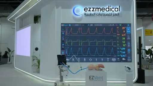 استثمار