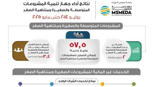 استثمار