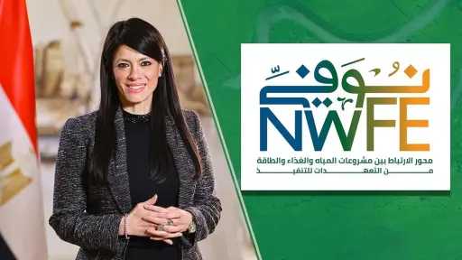 استثمار