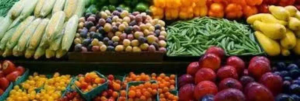 أحدث الأخبار