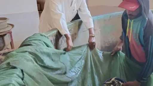 أحدث الأخبار