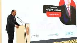 استثمار
