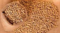 صناعة وتجارة