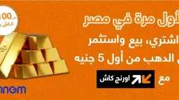 استثمار