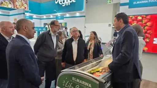 صناعة وتجارة