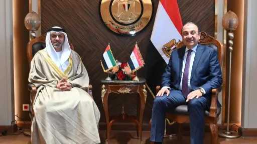 استثمار