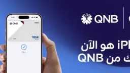 الشمول المالي