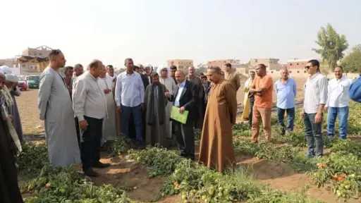 أحدث الأخبار