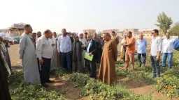 أحدث الأخبار