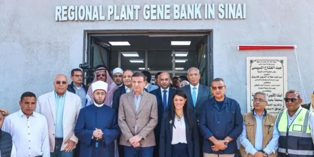 QNB – مصر يسلم 40 منتفعًا مشروعات تنموية زراعية في جنوب سيناء