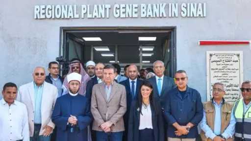 العمل المجمتعى