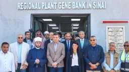 العمل المجمتعى