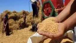 أحدث الأخبار