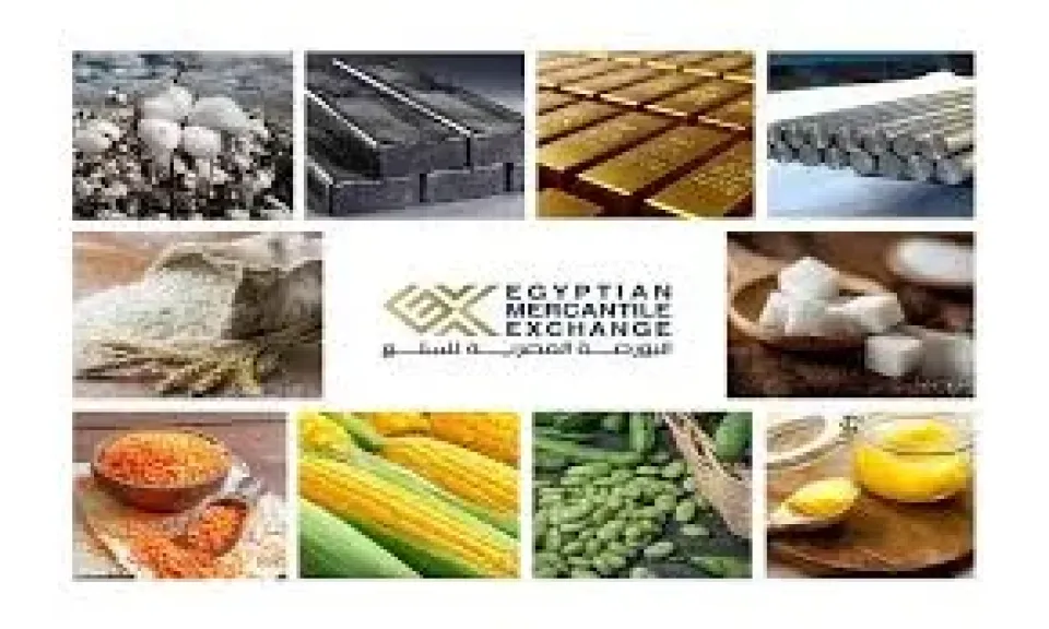 عودة تدريجية لبورصة السلع المصرية مع طرح القطن لأول مرة قبل نهاية 2025