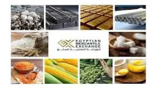 بورصة وشركات