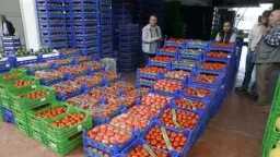 صناعة وتجارة