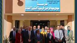 طاقة وبترول