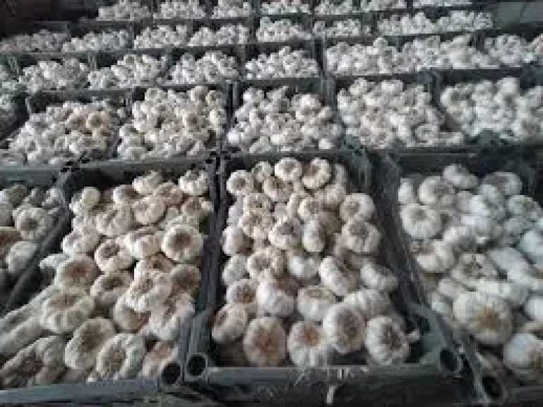 صناعة وتجارة