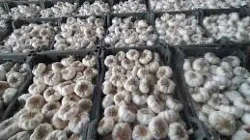 صناعة وتجارة