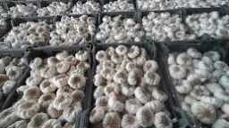 صناعة وتجارة