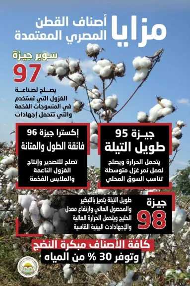 صناعة وتجارة