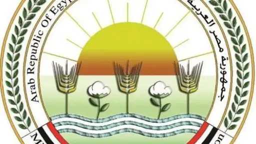 أحدث الأخبار