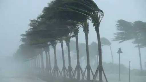 أحدث الأخبار