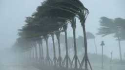 أحدث الأخبار