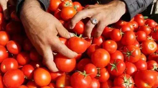 اقتصاد وأسواق