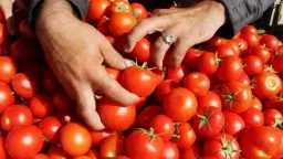 اقتصاد وأسواق