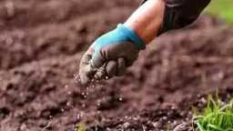 صناعة وتجارة