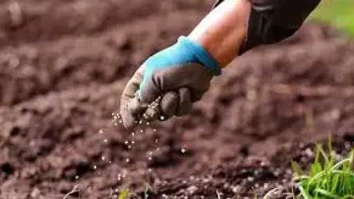 صناعة وتجارة