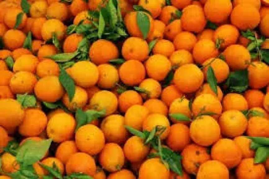 نماء