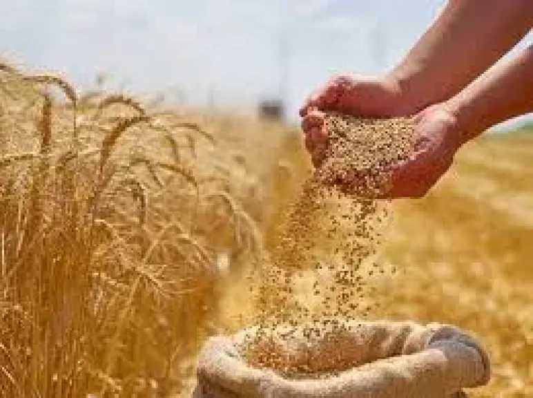 أحدث الأخبار