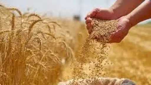 أحدث الأخبار