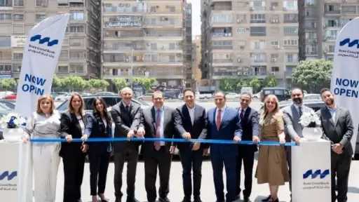 بنوك وتأمين