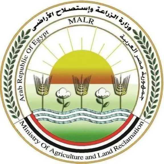 صناعة وتجارة