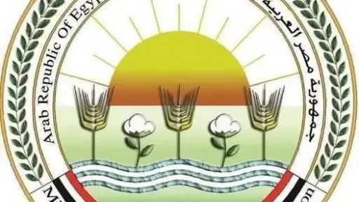 صناعة وتجارة