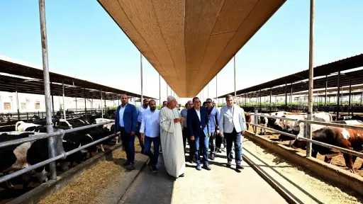 نماء
