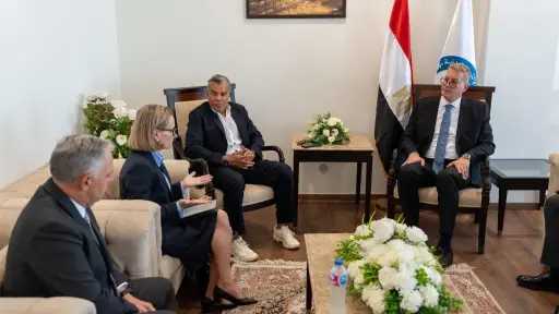 استثمار