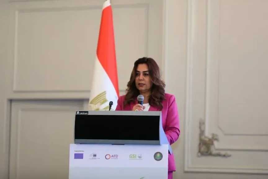 استثمار