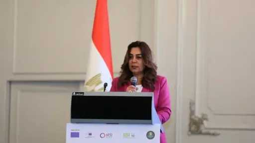 استثمار