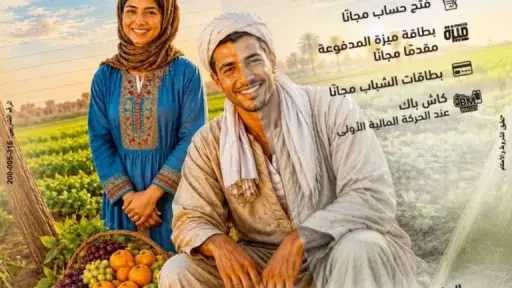 الشمول المالي