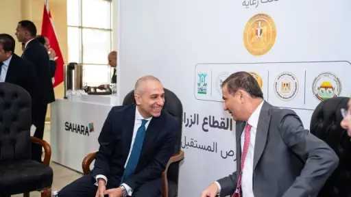 بنوك وتأمين